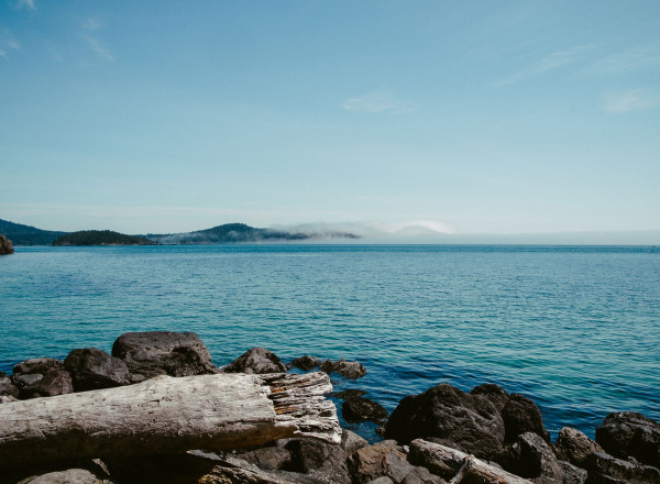 Vanaf vandaag: Subsidie voor opleidingen in de Ontwikkelpaden